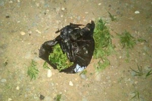 В городе Харабали задержали мужчин с пакетами конопли