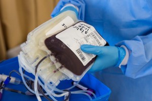 Депутаты областной Думы стали донорами крови