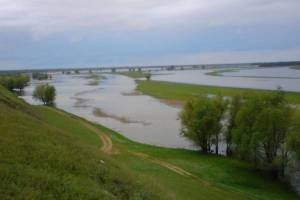Пик паводка: с 21 апреля Астраханская область выходит на рыбохозяйственную полку