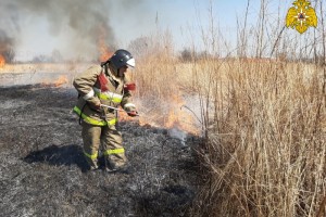 Хабаровские надзорные органы МЧС России привлекли к ответственности мужчину за поджог травы