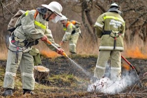 В России функционирует более 510 тысяч добровольных пожарных