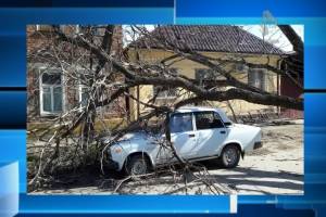 Автомобиль придавило сломанным порывами ветра деревом