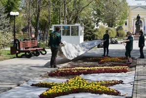 В Астрахани начали высаживать цветы