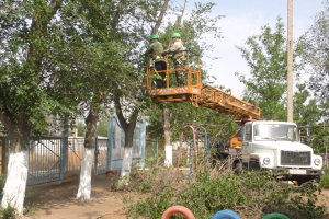 У астраханских детских садов проводят опиловку деревьев