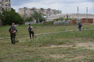 В Астрахани активно косят камыш