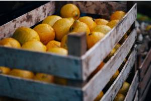 В Астрахани резко подешевели лимоны