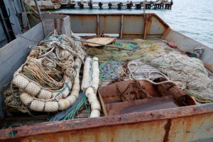 В браконьерские сети попалось рыбы на 11 миллионов рублей