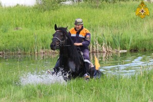 МЧС России поздравляет подразделения конной службы ведомства с профессиональным днем