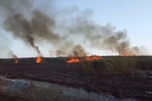 В Астрахани ожидается повышенная пожароопасность