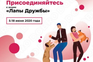 В Астрахани проходит Всероссийская акция «Лапа дружбы»
