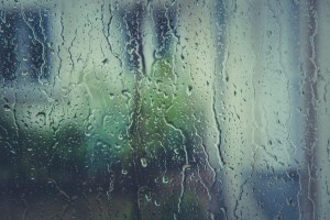 В понедельник синоптики обещают в Астраханской области дождь с грозой