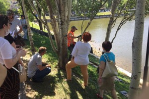 В Астрахани продолжаются споры вокруг благоустройства Лебединого озера