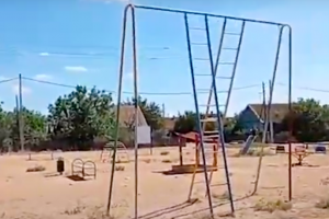 Детская площадка в посёлке Новолесное: радость или наказание?