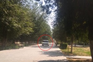 В Астрахани наказали автомобилиста, который катался на машине по парку