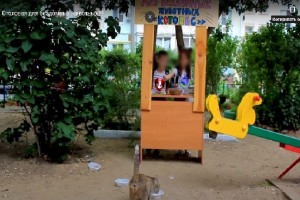 Астраханские дети создали столовую для бездомных животных