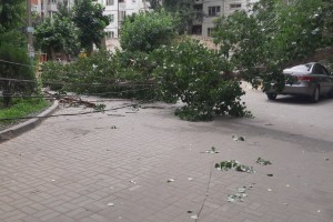 В Астрахани рухнули дерево и две опоры линии электропередач