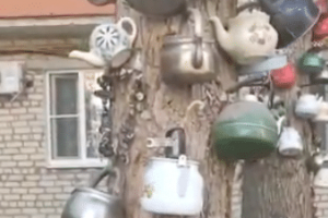Астраханцы украсили спиленные деревья кухонными чайниками