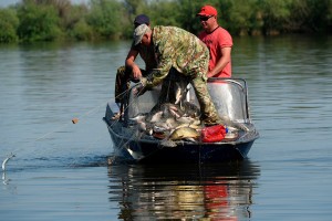 Рыбалка в Астрахани проходит под контролем инспекторов рыбоохраны