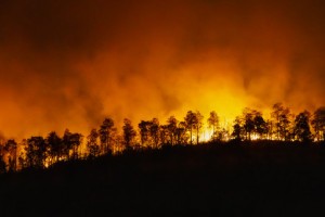 В Астраханской области пожароопасность V степени