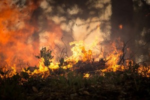 В Астраханской области действует максимальный класс пожароопасности