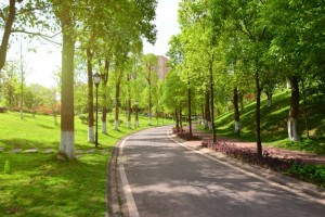 В Астрахани на улице Минусинской скоро появится парк