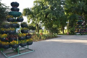 В Астрахани высадили около 55 тысяч цветов
