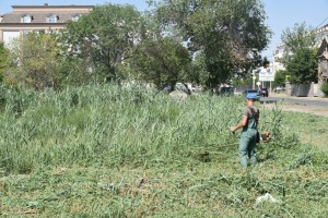 В Астрахани скосили 150 гектаров сорняка