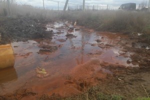 Астраханцы бьют тревогу: экологическая катастрофа на реке Солянка может стать причиной загрязнения Волги