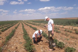 В Астраханской области ведётся мониторинг плодородности почвы