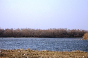 В Астраханской области вода до дальних ильменей так и не дошла