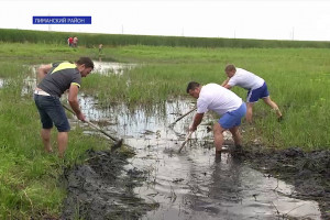 В Астраханской области спасают молодь рыбы