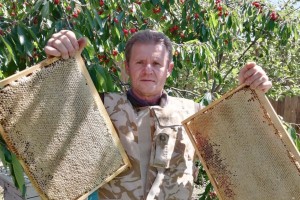 В Астраханской области производят экологически чистый мёд
