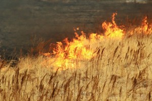 Ливень не помог: в Астраханской области сохраняется чрезвычайная пожароопасность