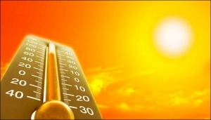 Несколько советов от МЧС, как пережить жару