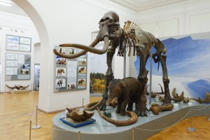 Астраханцам расскажут о «Возвращении мамонта»
