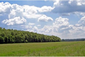 В Астраханской области продлили ограничение нахождения в лесах