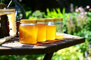 В Астрахани собирают мёд на степных травах