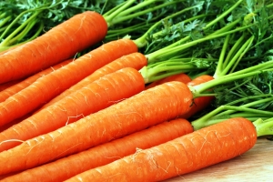 Россельхознадзор не пустил в Астраханскую область 1,5 тонны моркови