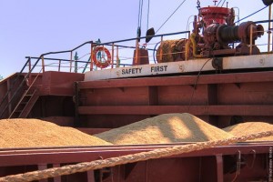 В Морском порту «Астрахань» досматривают баржи с экспортным зерном