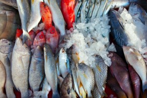 В Астрахани обнаружили цех по переработке браконьерской рыбы