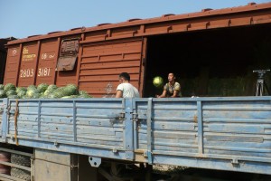 Первые 65 тонн астраханского картофеля отправлены в Якутию