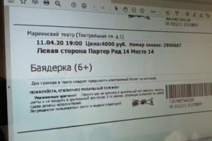Астраханцы в составе ОПГ создали сайт-двойник Мариинского театра с поддельными билетами