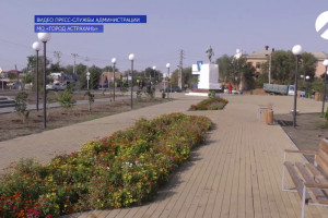 Улицы Астрахани украсят более 1,5 тысяч хризантем и астр