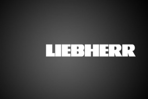 Немецкая компания Liebherr намечает пути сотрудничества с астраханскими судостроителями