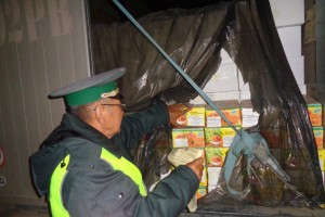 В Астрахань пытались ввести 9,5 тонн орехов и чернослива сомнительного качества