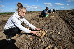 В Приволжском районе в рамках проекта &quot;Накорми себя сам&quot; прошла посадка картофеля