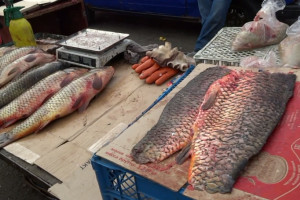 Рейд на рынке в Астрахани выявил нелегальных торговцев рыбой