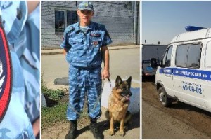В Астраханской области служебная собака помогла найти вора