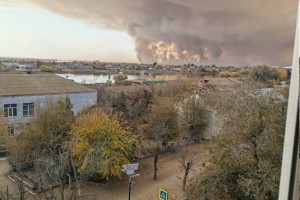 Спутники из космоса зафиксировали пожар на болотах в Астраханской области