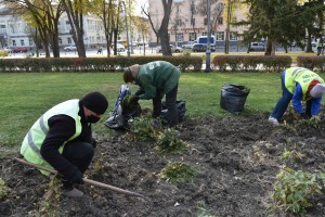 Астраханские парки и скверы готовят к зиме